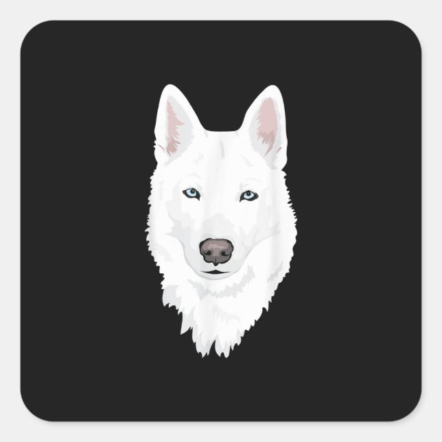 Sticker Carré Étonnant blanc sibérien Husky - Doux blanche neige (Devant)