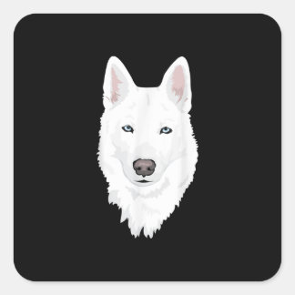Sticker Carré Étonnant blanc sibérien Husky - Doux blanche neige