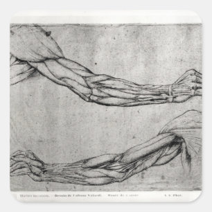 Sticker Carré Étude des bras