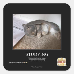 Sticker Carré Étudier