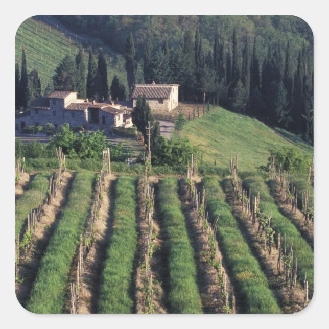 Sticker Carré Europe, Italie, Toscane. Pittoresque villa chypre. (Devant)