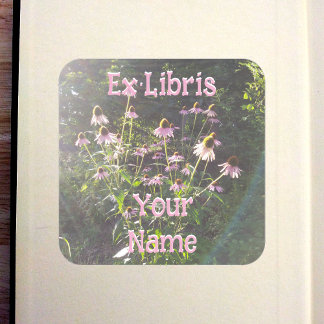 Sticker Carré Ex-libris Fleurs d'échinacée au soleil