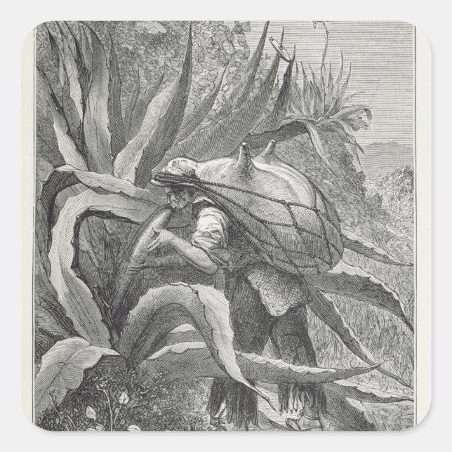 Sticker Carré Extraction du pulque (Devant)