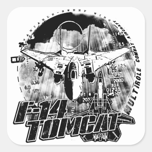 Sticker Carré F-14 Tomcat (Devant)