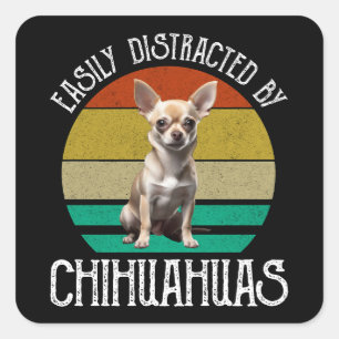 Sticker Carré Facilement Distrait Par Les Chihuahuas