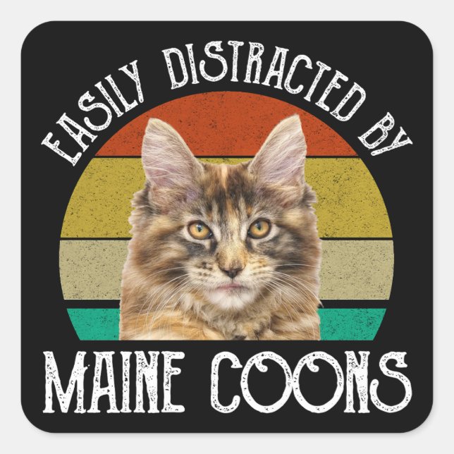 Sticker Carré Facilement Distrait Par Les Maine Coons (Devant)