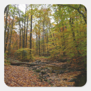 Sticker Carré Fall Creek à Laurel Hill State Park Pennsylvania