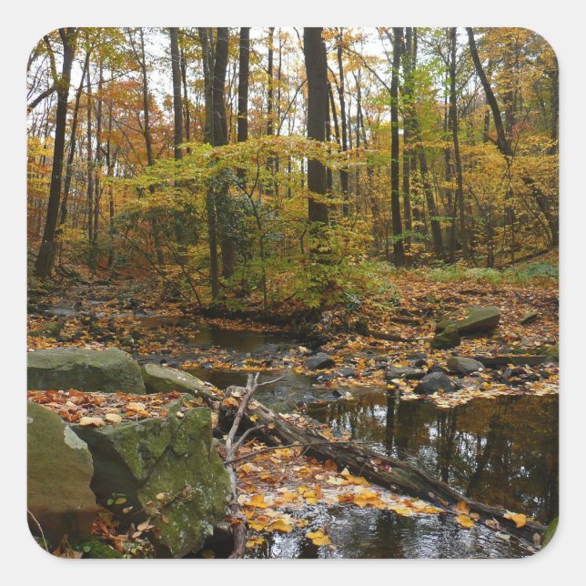 Sticker Carré Fall Creek avec réflexion à Laurel Hill Park (Devant)
