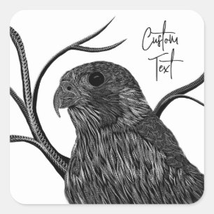 Sticker Carré Faucon pèlerin dans les branches de l'arbre avec é