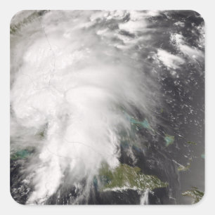 Sticker Carré Fée tropicale 5 de tempête