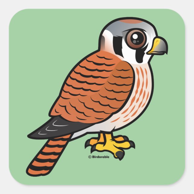 Sticker Carré Femelle américaine Kestrel (Devant)