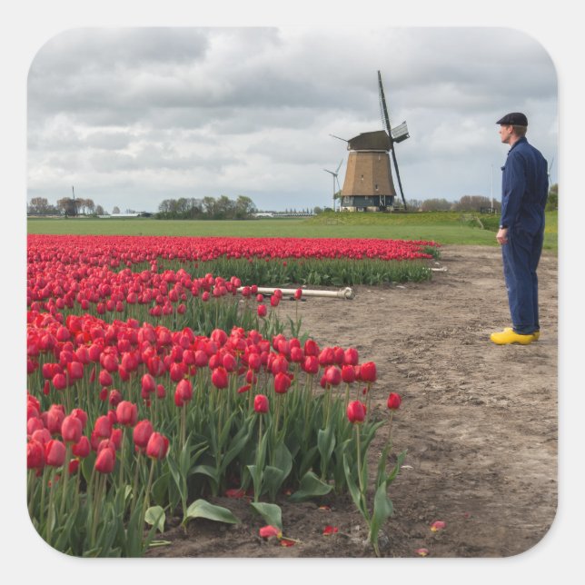 Sticker Carré Fermier inspectant ses tulipes et son moulin à ven (Devant)