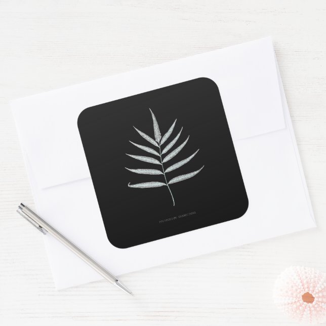 Sticker Carré Ferne - Polypodyum Grandidens - Effet de rayons X  (Enveloppe)