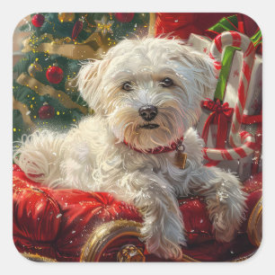 Sticker Carré Fête de Noël des chiens maltais