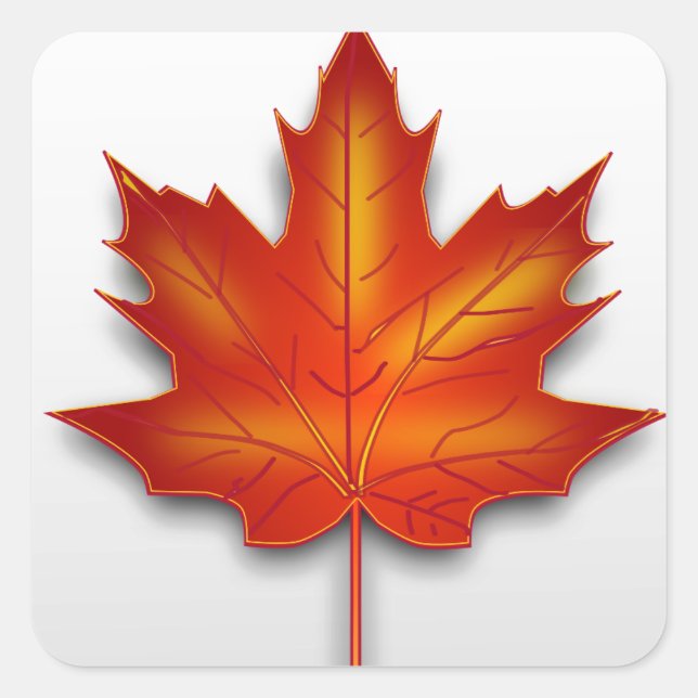 Sticker Carré Feuille Canada (Devant)