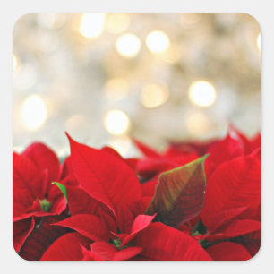 Sticker Carré Feuille d'autocollants de Noël avec fleurs