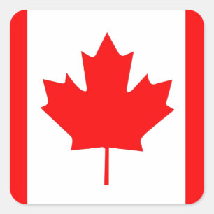 Sticker Carré Feuille d'érable canadienne