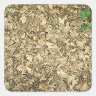 Sticker Carré Feuille. Plancher de région boisée. La terre