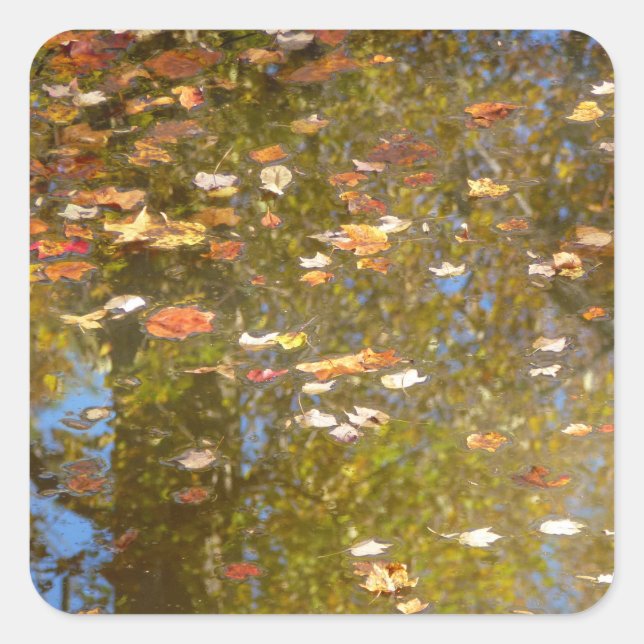 Sticker Carré Feuilles d'automne et réflexion sur le cours d'eau (Devant)