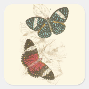 Sticker Carré Feuilles de Sepia avec papillons colorés