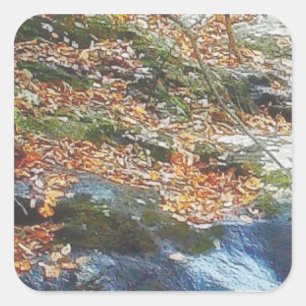 Sticker Carré feuilles, herbe et ruisseau