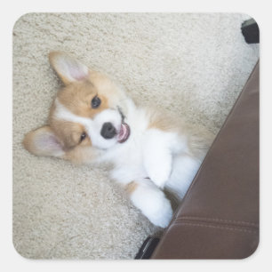 Sticker Carré fille