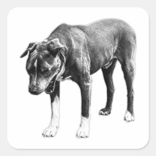 Sticker Carré Filtre Zéro - Chien Tête-Sur-Jaun