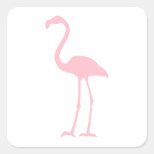 Sticker Carré Flamant rose rose