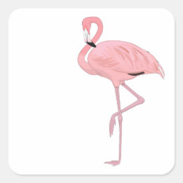 Sticker Carré Flamant rose rose debout une jambe