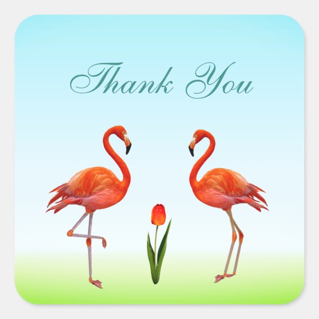 Sticker Carré Flamants roses roses et Merci à fleur de tulipe (Devant)