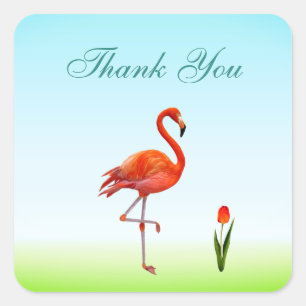 Sticker Carré Flamingo rose et fleur de tulipe Merci carré Stic