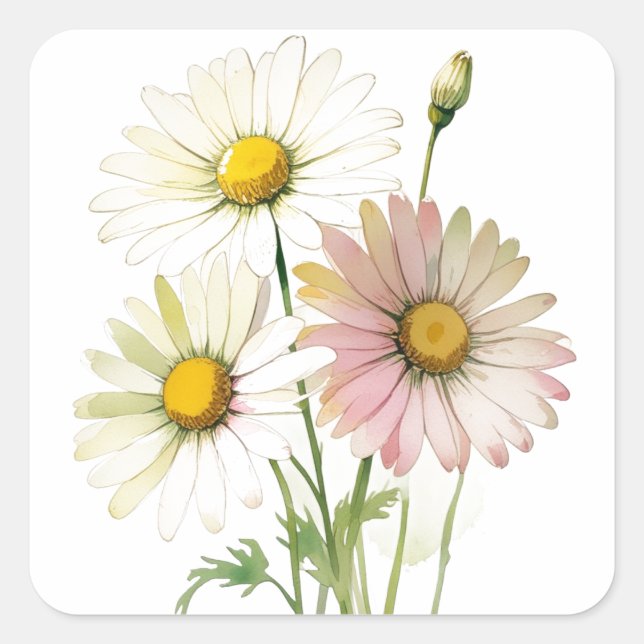 Sticker Carré Fleur aquarelle marguerite moderne professionnelle (Devant)