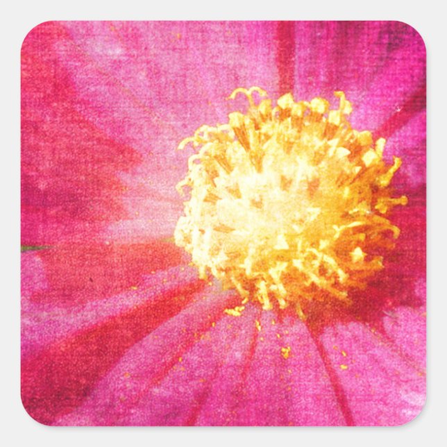 Sticker Carré Fleur Cosmo (Devant)