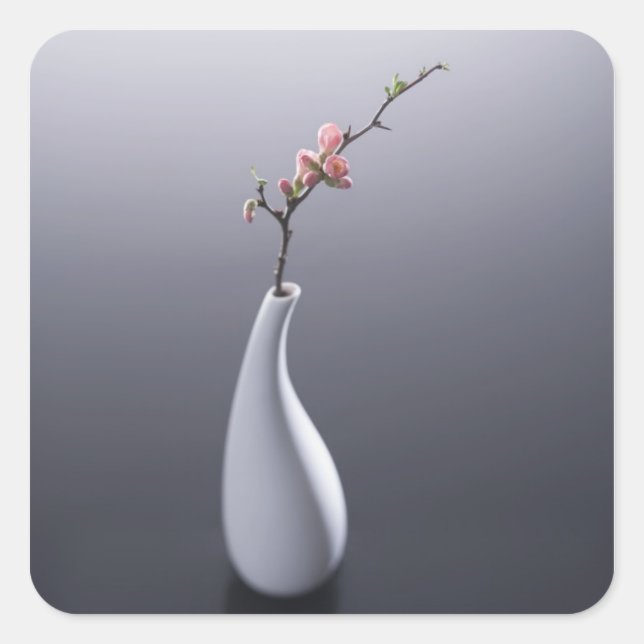 Sticker Carré Fleur de cerisier dans le vase (Devant)