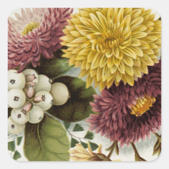 Sticker Carré Fleur de chrysanthème mère florale (Devant)