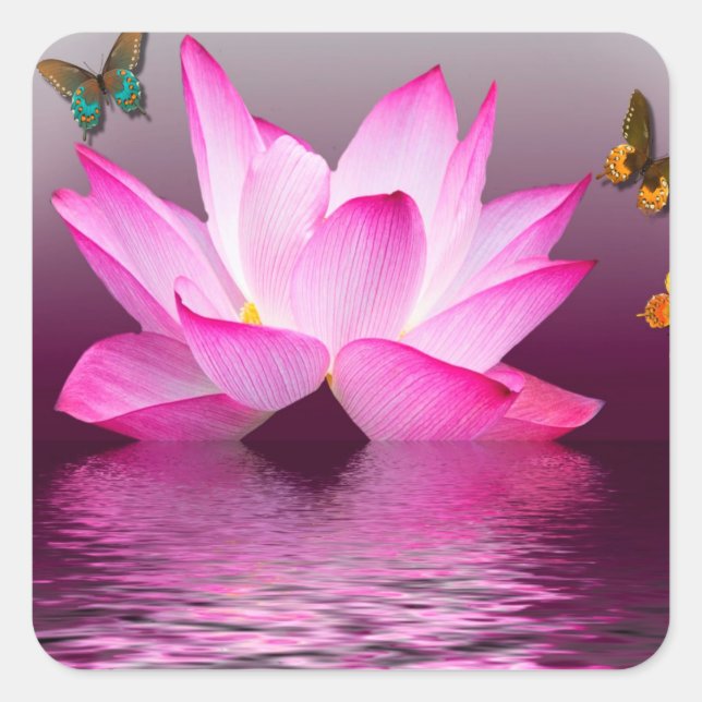 Sticker Carré Fleur de Lotus avec insecte papillon (Devant)