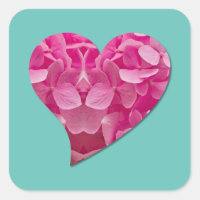 Fleur d'Hydrangée rose Coeur dansant sur bleu Turq
