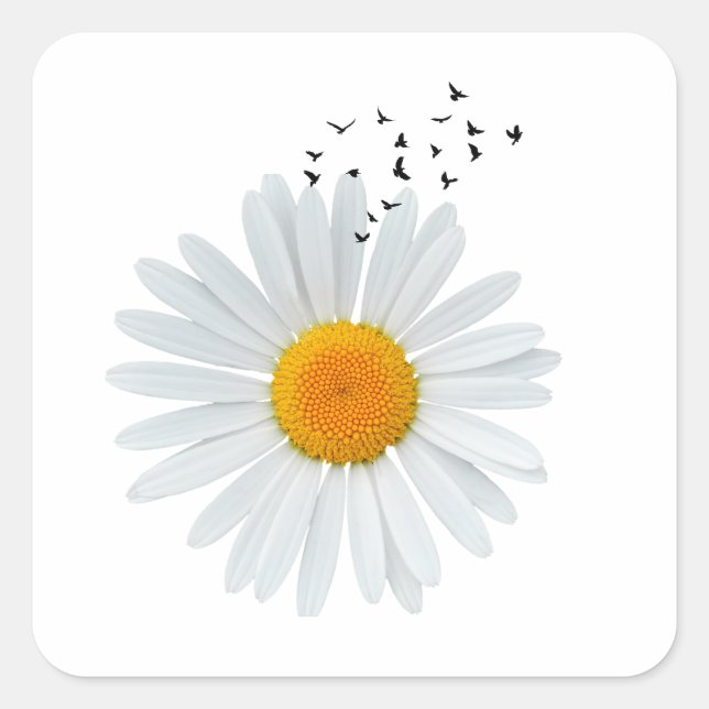 Sticker Carré Fleur marguerite avec troupeau d'oiseaux (Devant)