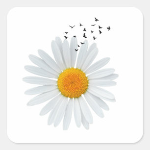 Sticker Carré Fleur marguerite avec troupeau d'oiseaux