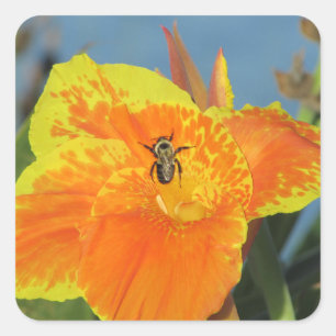 Sticker Carré Fleur Photo avec Abeille Orange Canne Jaune Lily