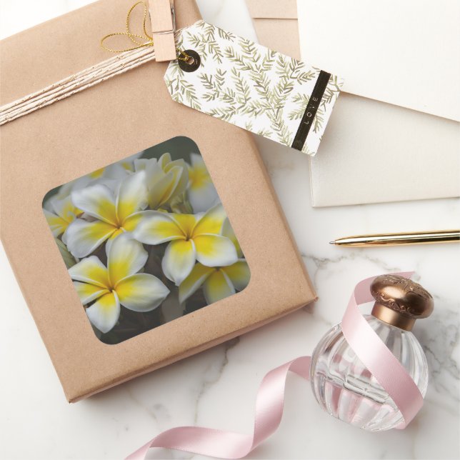 Sticker Carré Fleur Plumeria Jaune, Hawaii Photographie (Cadeaux)
