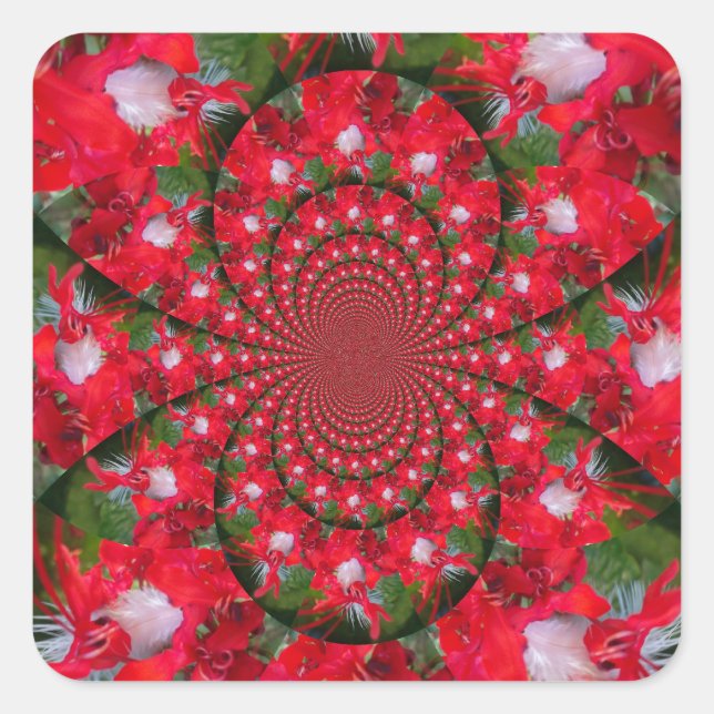 Sticker Carré Fleur Rouge Naturelle Blanc Plumes kaléidoscope ar (Devant)
