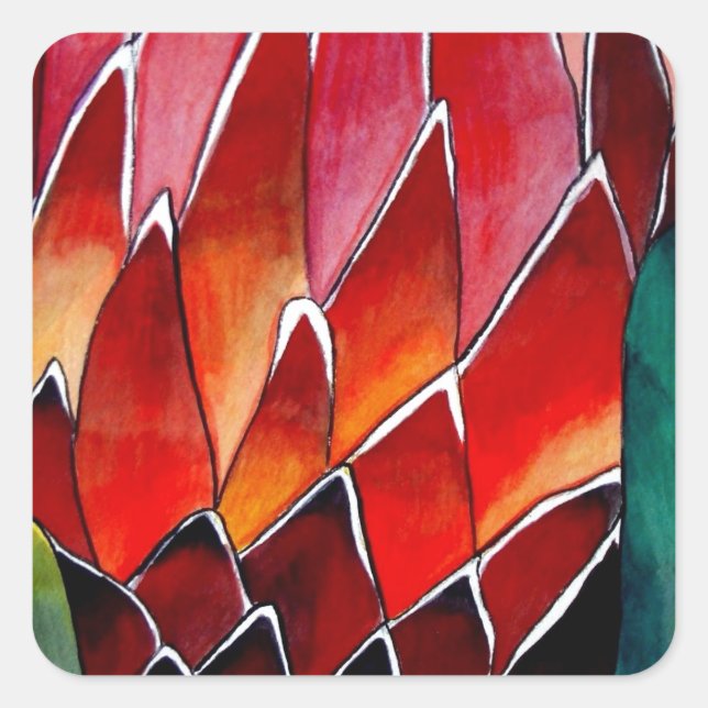 Sticker Carré Fleur rouge Protea art original aquarelle (Devant)