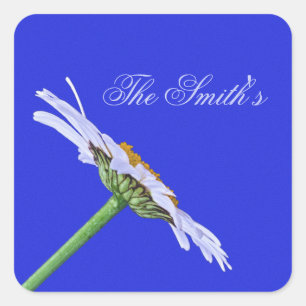 Sticker Carré Fleur simple marguerite sur toile personnalisée