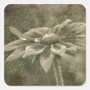 Sticker Carré Fleur Vintage