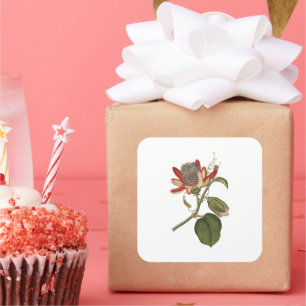 Sticker Carré Fleur vintage Passion