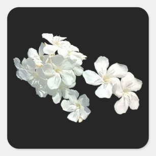 Sticker Carré Fleurs blanches