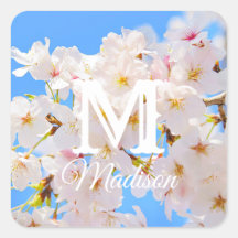 Fleurs de cerisiers au printemps