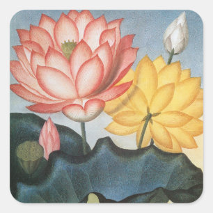 Sticker Carré Fleurs de Lotus vintages, Le Haricot Égyptien Sacr