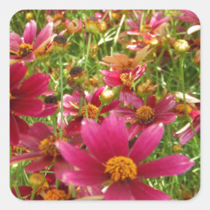 Sticker Carré Fleurs de marguerite rose et jaune brillantes